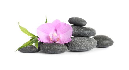 Fototapeta na wymiar Spa stones, beautiful orchid flower and bamboo sprout on white background