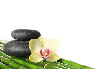 Spa stones and beautiful orchid flower on bamboo stems against white background