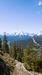 Vertical view to the Bavarian Alps in summer, Berchtesgaden, Germany 