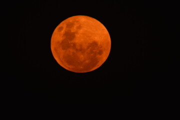 Obraz premium Supermoon from South Africa 