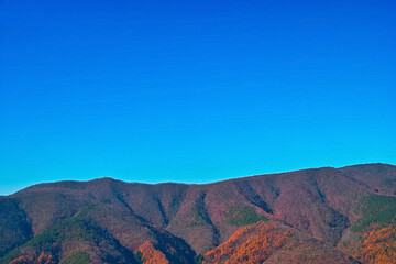 透き通った青い空と紅葉ある山裾