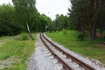 Obraz premium railway track in the forest