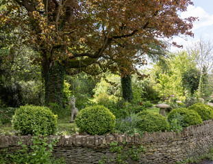 Obraz premium garden with trees