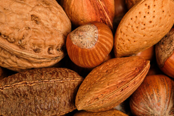 A heap of mixed nuts. Almonds, walnuts and hazelnuts.