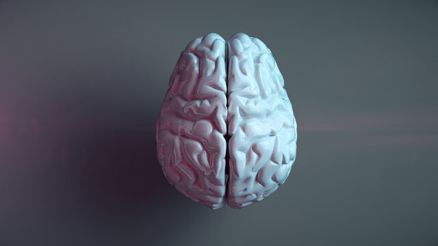 3D-Modell: Menschliches Gehirn solo von oben [Neocortex] Gro&szlig;hirn mit farbigem Neonlicht beleuchtet | 3D Render Illustration