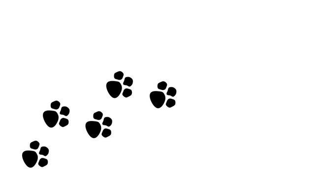 犬・猫の足跡シルエット動画