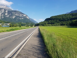 Swiss Road in Spring 