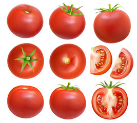 Seamless pattern illustration of realistic painting tomatoes on white background