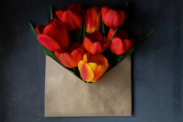 bouquet of red tulips in an envelope on a dark background