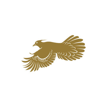 Crested Pigeon bird vector illustration. Crested Pigeon bird logo design concept template. Creative symbol
