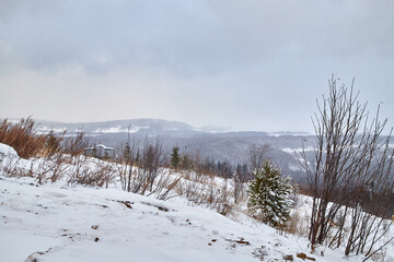 Landscape with a view from a high mountain to a valley with forest and white snow on a winter day