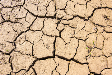 Dürre und Trockenheit mit rissigem Boden am Forggensee im Allgäu