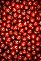 Background of ripe organic sour cherries in the sun