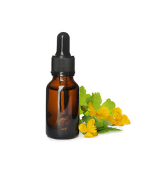 Bottle of essential oil and celandine on white background