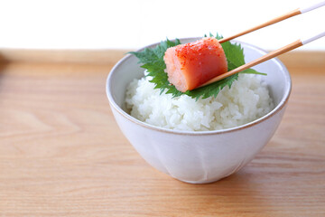 明太子ごはん