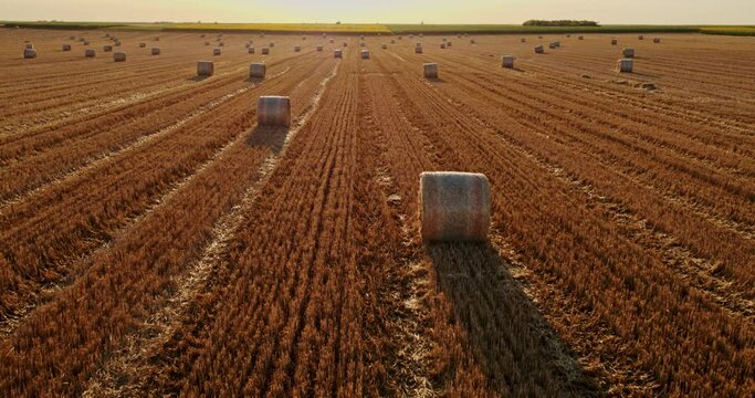 Serbia, Vojvodina, Aerial shot of wheat bales out on a field