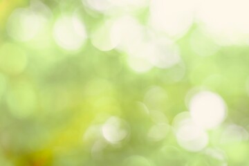 Fototapeta na wymiar bokeh background,abstract blur green color for background,blurred and defocused effect spring concept for design,nature view of blurred greenery background in garden using as background natural,fresh 