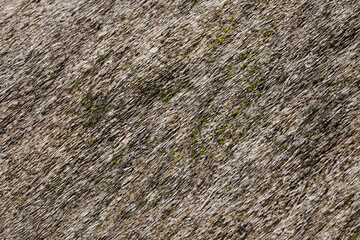 Thatched roof in northern Germany