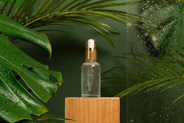cosmetic bottle oil on wooden podium on green background with palm and monstera leaves. aromatic...