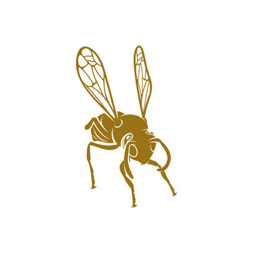 Wasp vector illustration. Wasp logo design concept template. Creative symbol
