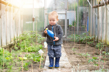 Little baby boy as a gardener in greenhouse with water can. Farming and agricultre concept.