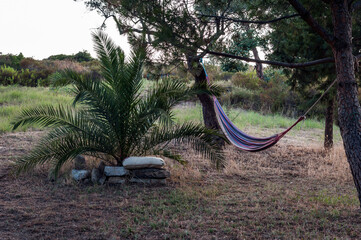 Obraz premium Relaxation Spot for Vacation Leisure with Hammock Tied to Trees and Decorative Palm Under Sunset Time Sky - Countryside View on Sithonia Chalkidiki Greece