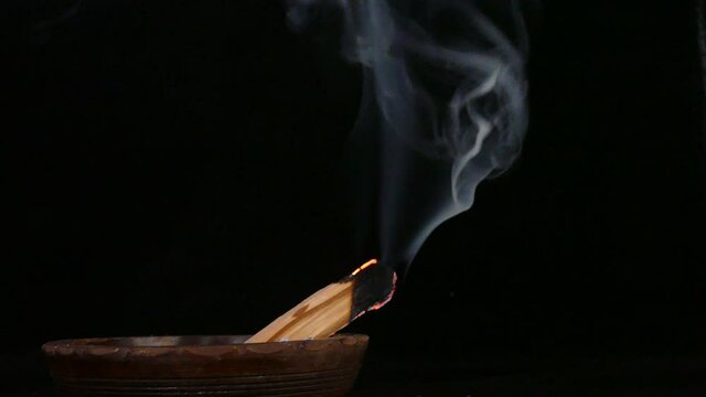 video palo santo in 4k