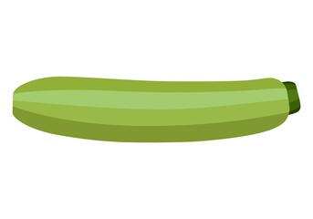Vegetable marrow. Vector graphics on a white background.