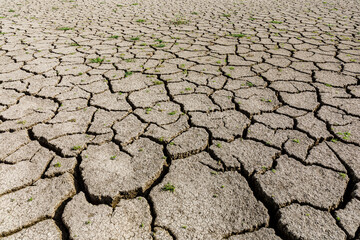 Dry cracked land landscape,drought concept.