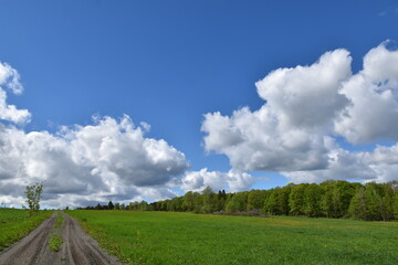 A cloudy sky, the first days of summer