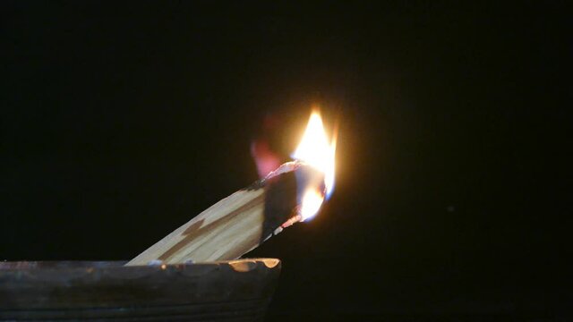 video palo santo in 4k