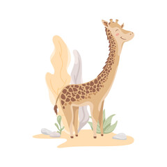 Obraz premium Happy giraffe on abstract desert landscape with tropical leaves. Cute wild spotted animal. Kids print, nursery illustration. Zoo, African character.