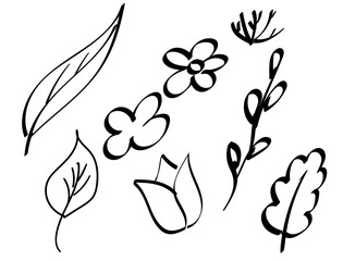 spring flowers and leafs hand drawn set icons vector illustration design