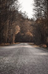 Fototapeta premium Landscape photo of a country road in the forest