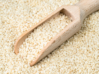 scoop in white sesame seeds close up