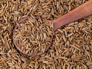 spoon on pile of caraway fruits closeup