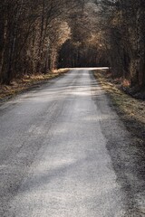 Obraz premium Landscape photo of a country road in the forest