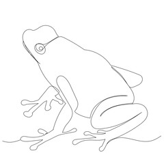 frog continuous line drawing, sketch, isolated, vector