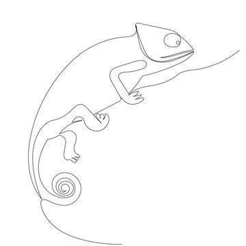 chameleon continuous line drawing, sketch