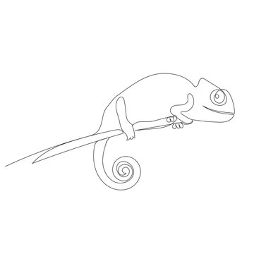 chameleon continuous line drawing, sketch, isolated, vector
