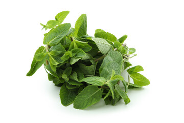 Fresh green mint isolated on white background