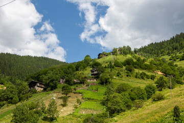 Unique mountain view in turkey with residential areas on it, perfect panoramic view filled with trees.