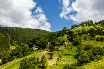 Unique mountain view in turkey with residential areas on it, perfect panoramic view filled with trees.