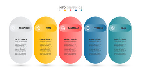 Business infographic brochure design vector with icon and 5 options, steps or processes.