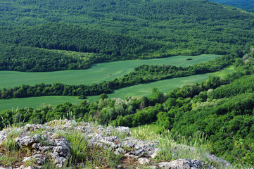 Fototapeta na wymiar View from the hill in spring