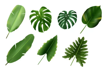 Deurstickers Tropische bladeren set of green leaves
