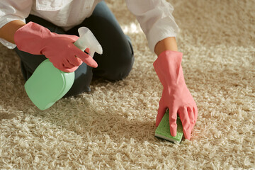 Woman in protective gloves cleaning carpet from stain with chemical detergent and sponge at home....