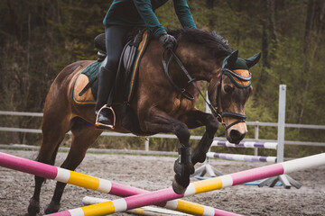 Springreiten © Petra Fischer