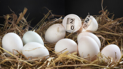 Wooden cube number 2022 in eggshell on a nest of hay background, happiness holiday and event concept, beginning to new year idea