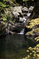 Scenery around Minoh Park in Osaka,Japan.The water in the river is clean. 